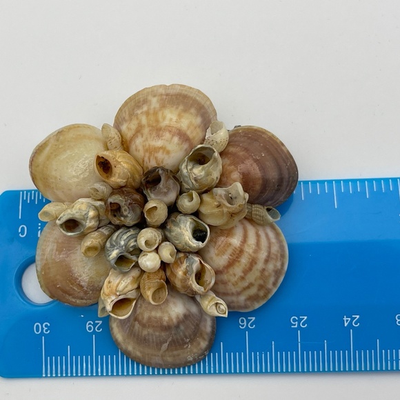 Vintage Real Sea Shell And Mother Of Pearl Jewelry Bracelet Brooches - Picture 8 of 11